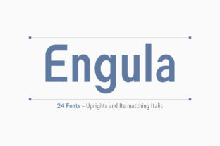 Engula: A Bold Sans Serif for Clear Campaigns
