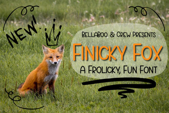 Finicky Fox Font: Playful & Readable