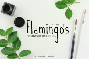 Flamingos: A Cute Script Font for Creative Projects