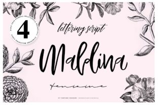 Maldina: A Modern Handwritten Font