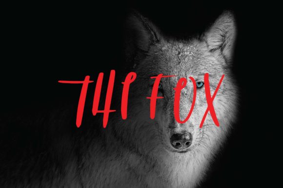 The Fox Font: Bold and Playful